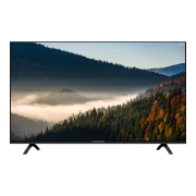 Изображение товара Телевизор Thomson T43FSM6020