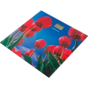 Изображение товара Весы напольные HomeStar HS-6001I 005187