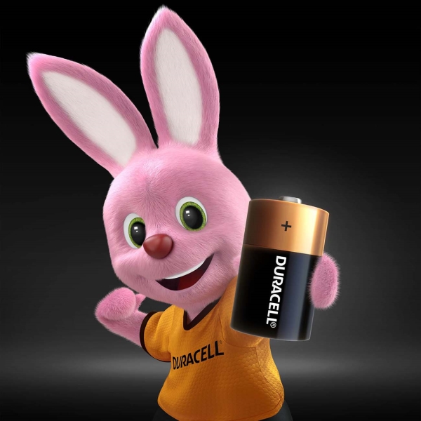 Изображение товара Батарея Duracell C 2шт.