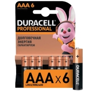Изображение товара Батарея Duracell Professional AAA LR03/MN2400 6шт.