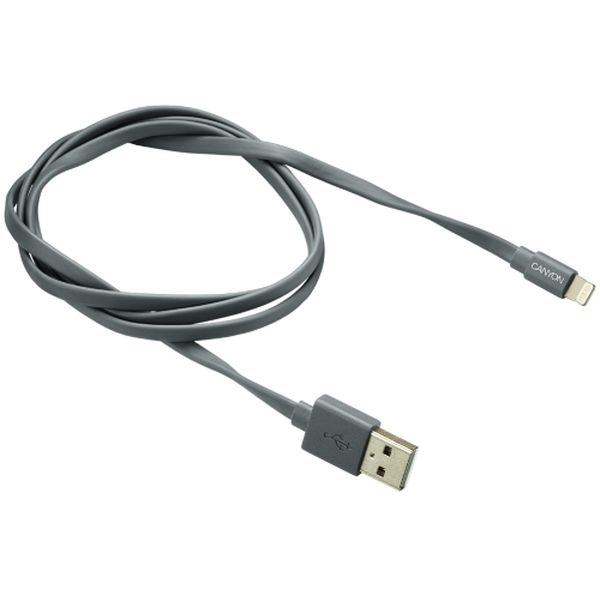 Canyon Lightning/USB2.0 MFI 1m Grey (CNS-MFIC2DG)
