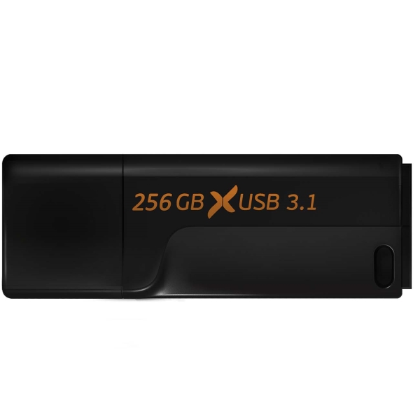 Flexis 256GB USB3.1 черный (FUB30256RBK-110)