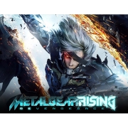 Изображение товара Цифровая версия игры PC Konami METAL GEAR RISING: REVENGEANCE