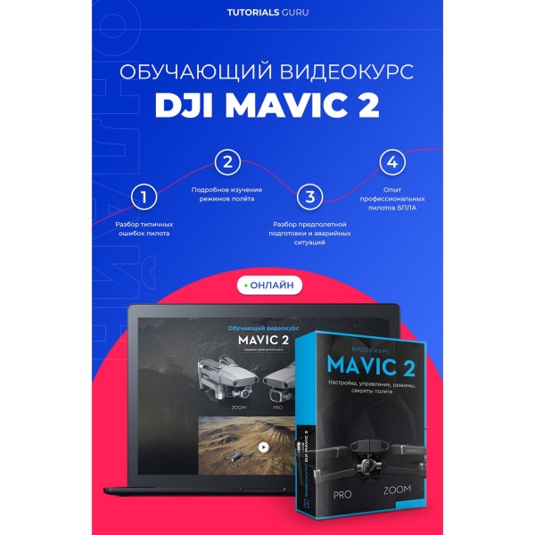DJI Mavic 2 online
