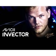 Изображение товара Цифровая версия игры PC Wired Production AVICII Invector