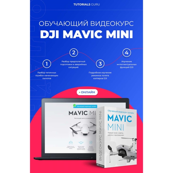 DJI Mavic Mini online