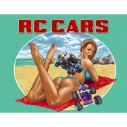 Изображение товара Цифровая версия игры PC 1C Publishing RC Cars