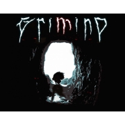 Изображение товара Цифровая версия игры PC Forever-Entertainmen Grimind