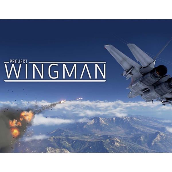 Humble Bundle Project Wingman