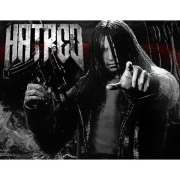 Изображение товара Цифровая версия игры PC Destructive Creation Hatred