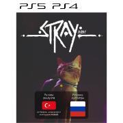 Изображение товара Цифровая версия игры PS5 Annapurna Stray (PS4, PS5), Турция