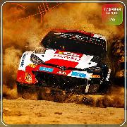 Изображение товара Цифровая версия игры PS5 EA WRC Standard Edition (Турция)
