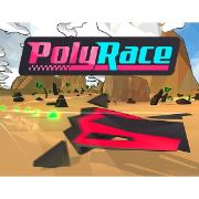 Изображение товара Цифровая версия игры PC Plug In Digital PolyRace