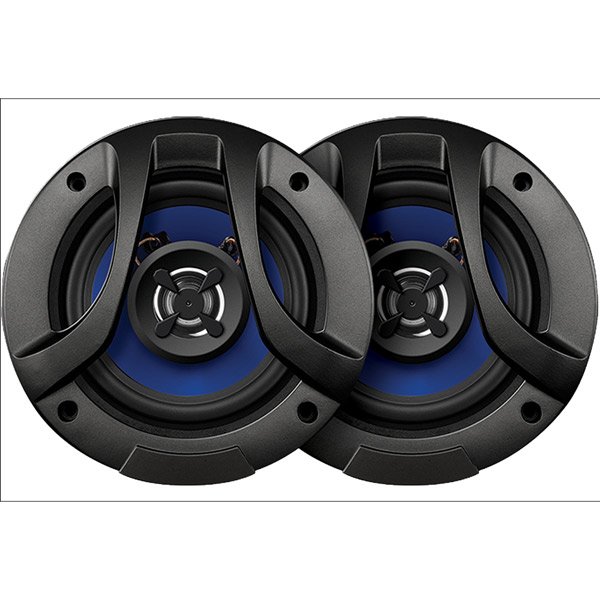 avtomobilnye kolonki 10 sm