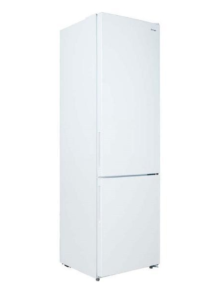 Холодильник Zarget ZRB 360NS1WM — фото 2