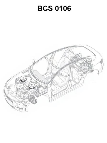 Пыльник автомобильный Trialli BCS 0106