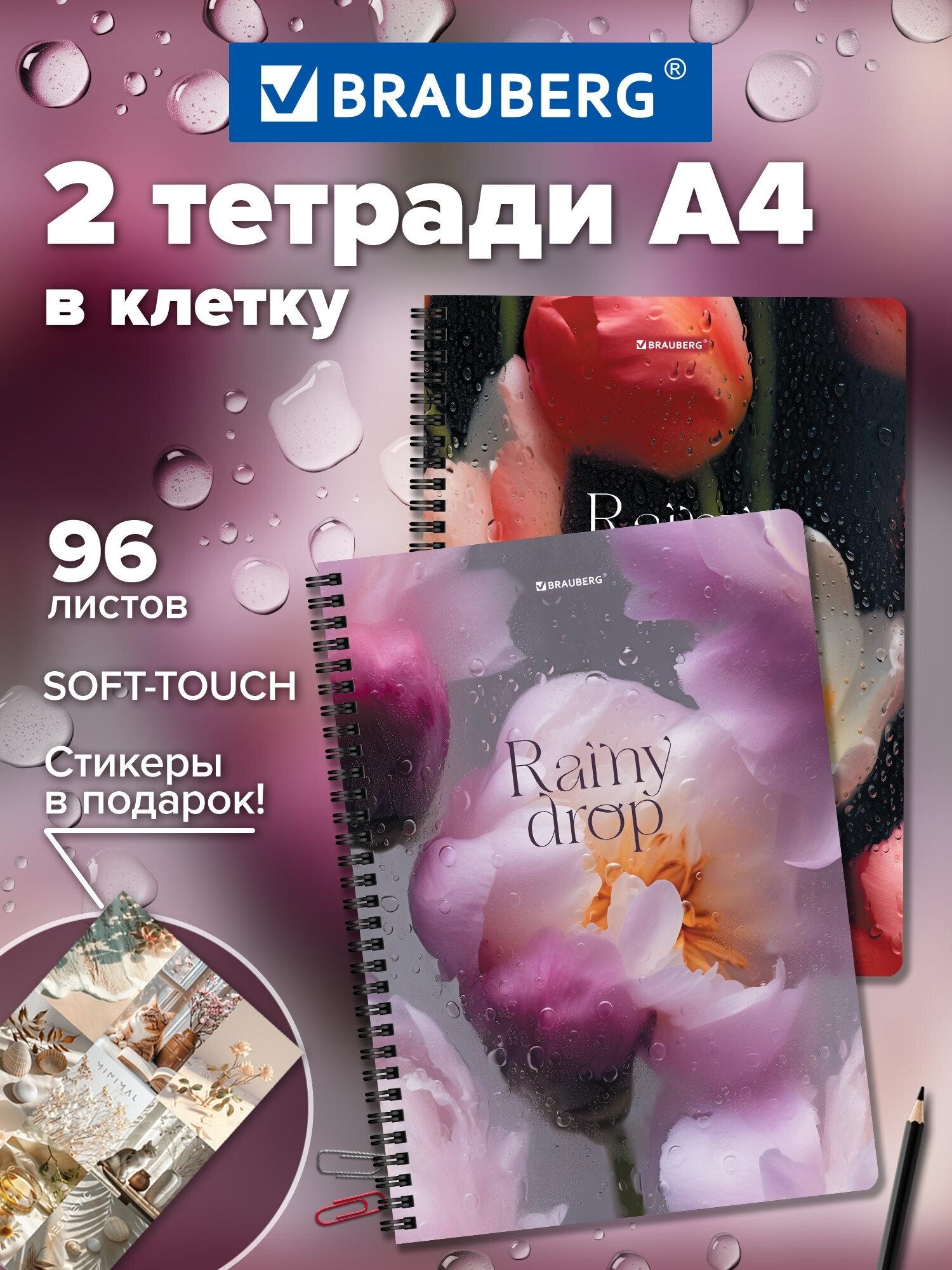 Изображение товара Тетради ДЭК А4 96л. КОМПЛЕКТ 2 шт. BRAUBERG гребень, клетка, блок 80г/м2, SoftTouch, Эстетика,405586 Изображение товара Тетради ДЭК А4 96л. КОМПЛЕКТ 2 шт. BRAUBERG гребень, клетка, блок 80г/м2, SoftTouch, Эстетика,405586